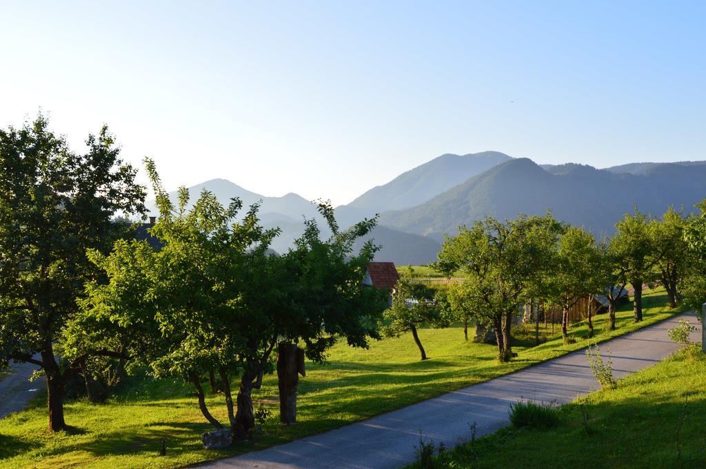 Apartmens And Rooms Sostar Cerkno Exterior foto